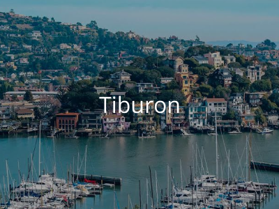 Tiburon